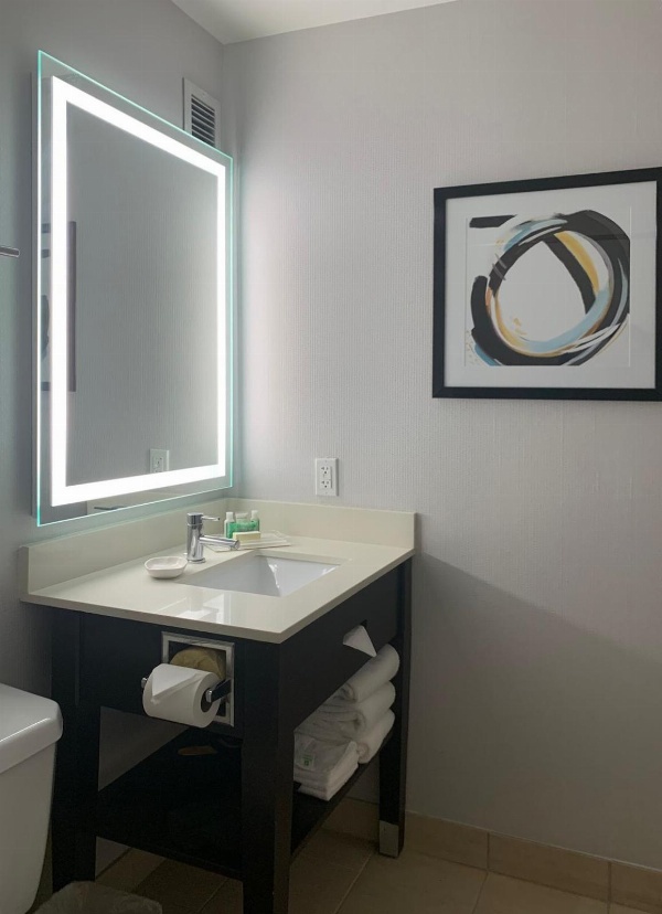 Holiday Inn Los Angeles - LAX Airport image 4